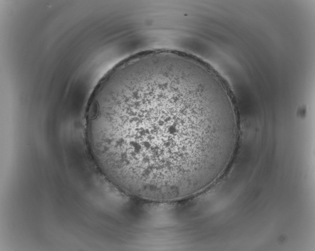 X0000092040879200709191058