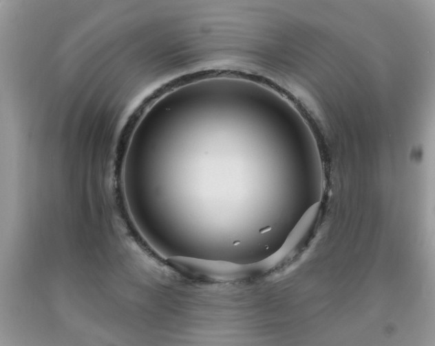 X0000092040880200709191058