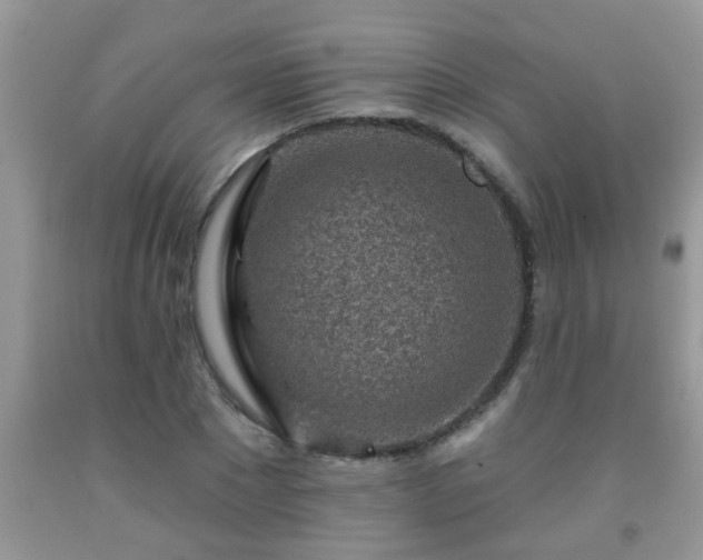 X0000092040881200709191058