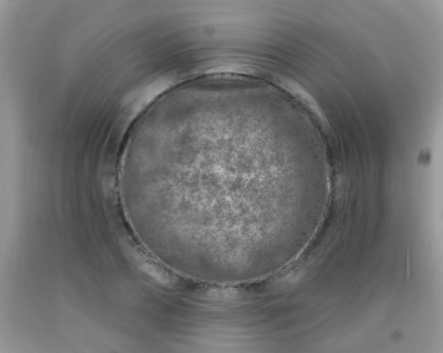 X0000092040882200709191058