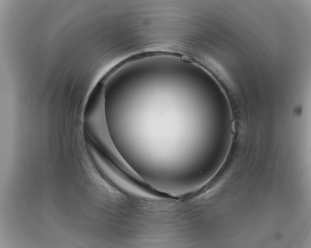 X0000092040884200709191058