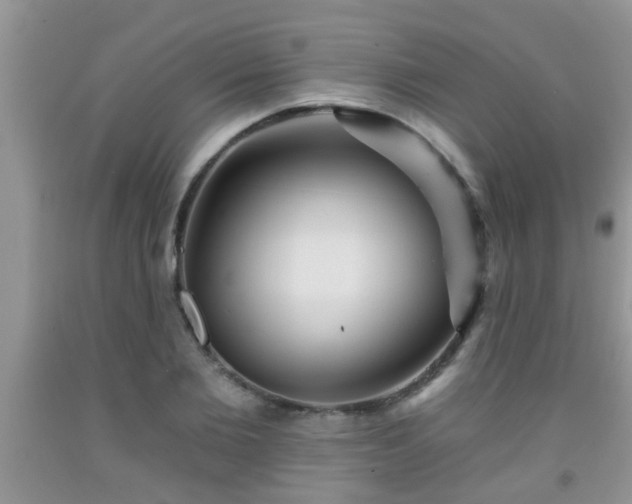 X0000092040885200709191058