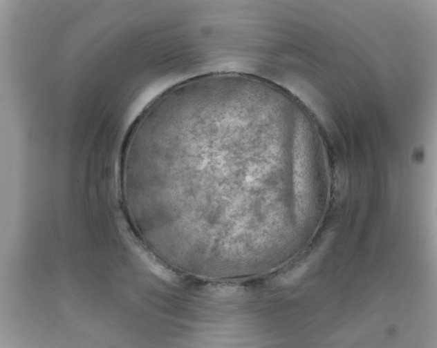 X0000092040886200709191058