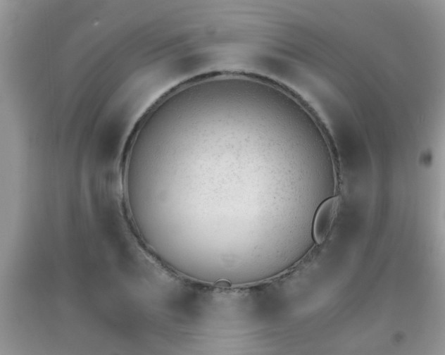 X0000092040887200709191058