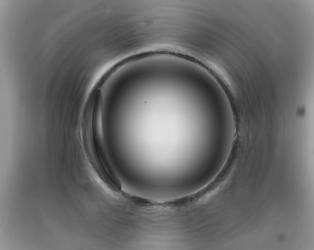 X0000092040888200709191058