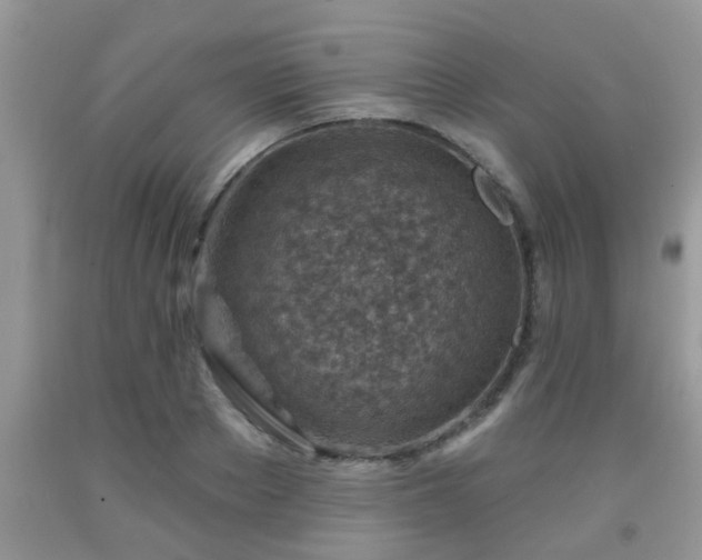 X0000092040889200709191058