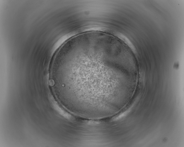 X0000092040890200709191058