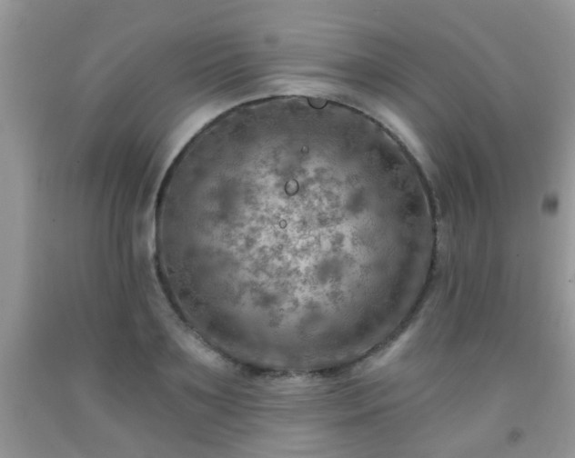 X0000092040891200709191058