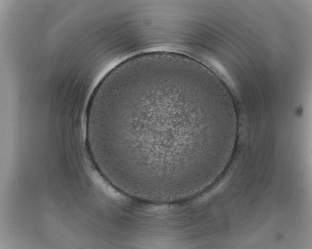 X0000092040892200709191058