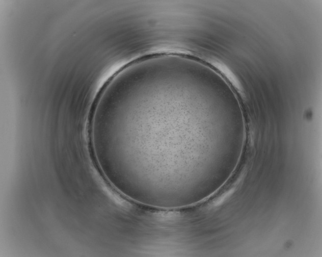 X0000092040893200709191058