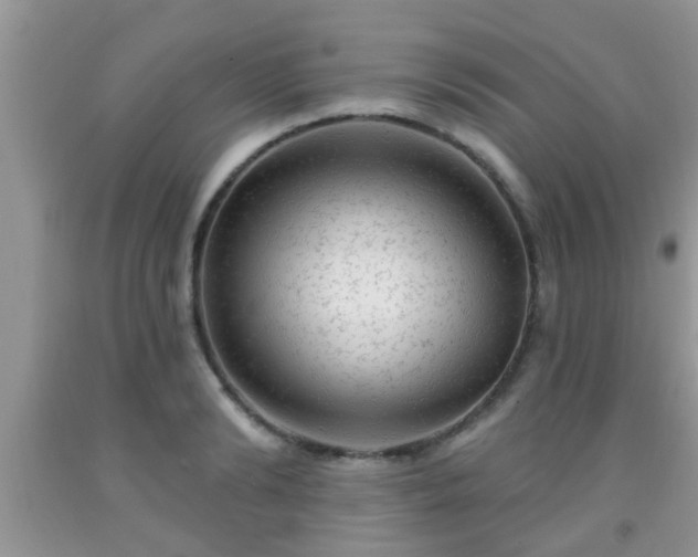 X0000092040894200709191058