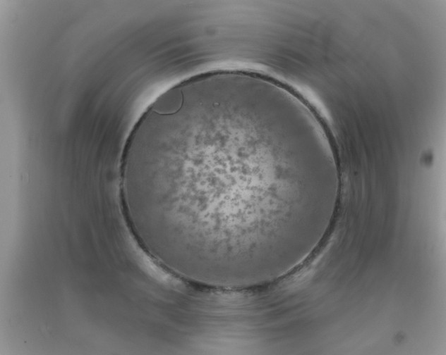 X0000092040895200709191058