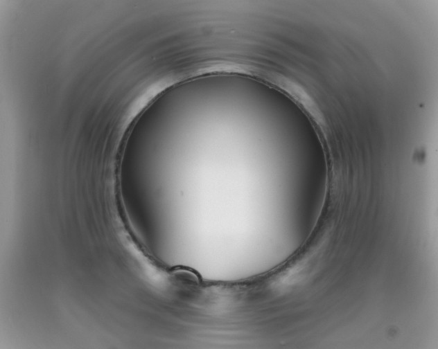 X0000092040898200709191058