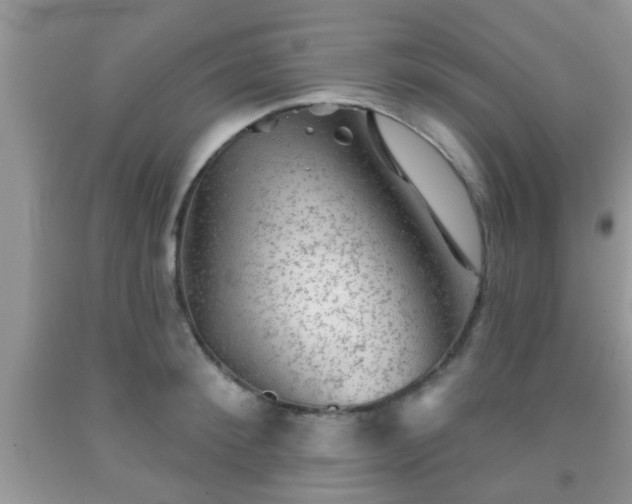 X0000092040900200709191058