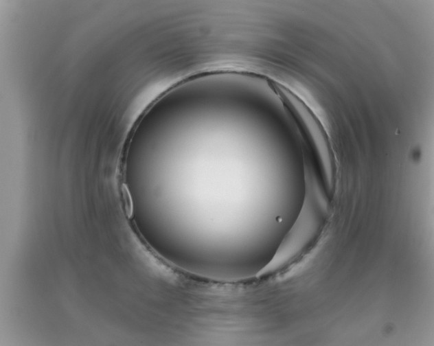 X0000092040901200709191058