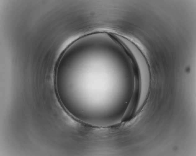 X0000092040902200709191058