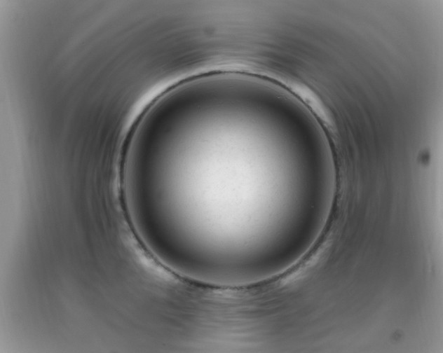 X0000092040904200709191058