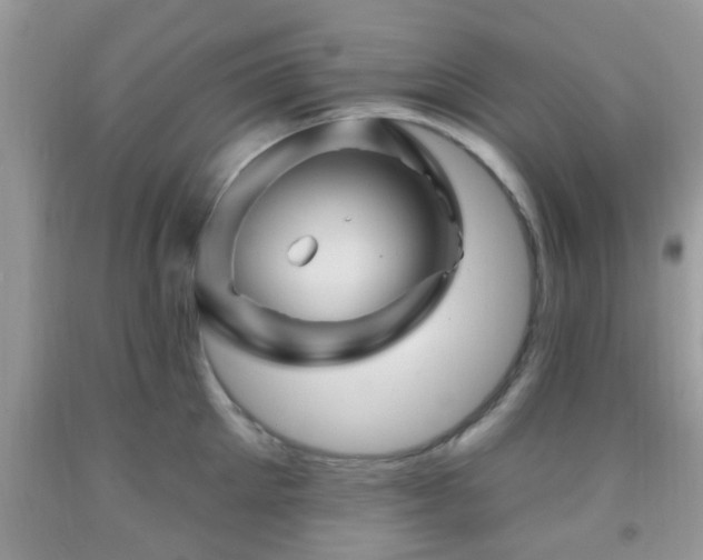 X0000092040905200709191058