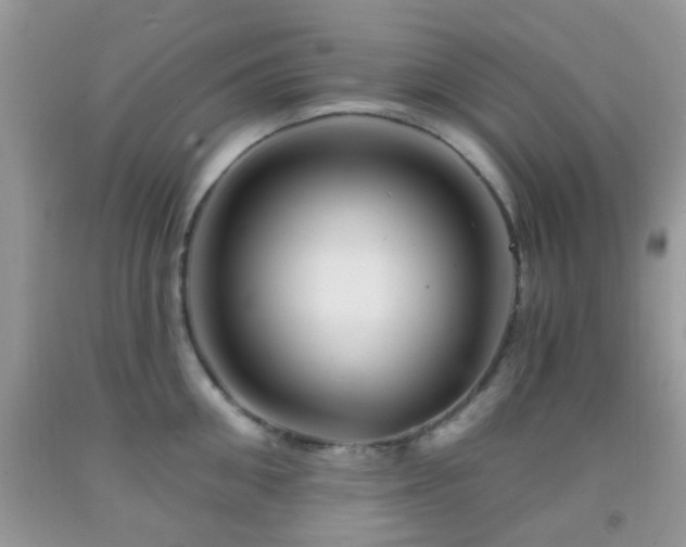 X0000092040906200709191058