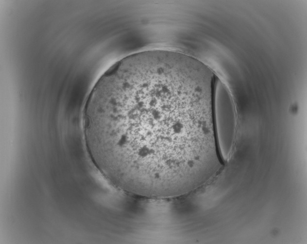 X0000092040907200709191058