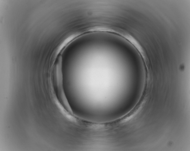 X0000092040909200709191058