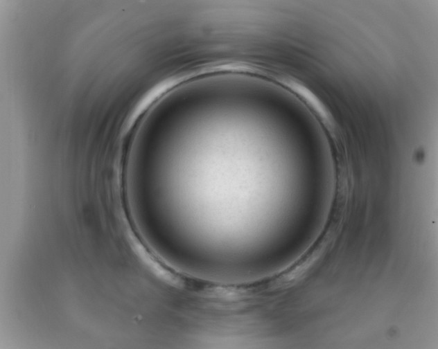 X0000092040910200709191058