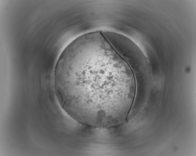 X0000092040911200709191058