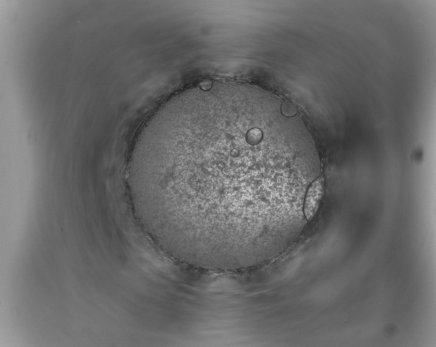 X0000092040913200709191057