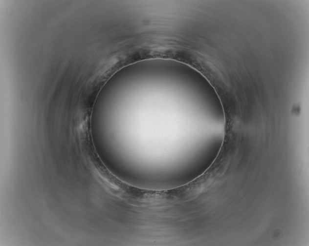 X0000092040914200709191057