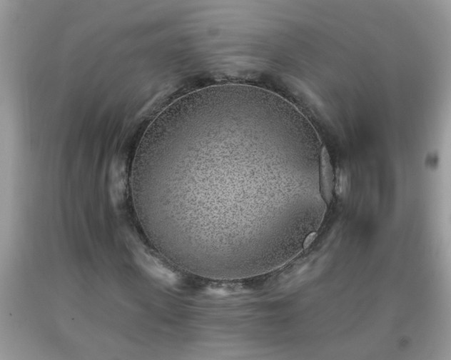 X0000092040915200709191057