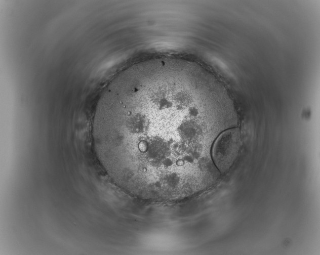 X0000092040917200709191057