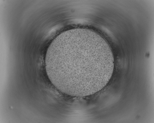 X0000092040918200709191057