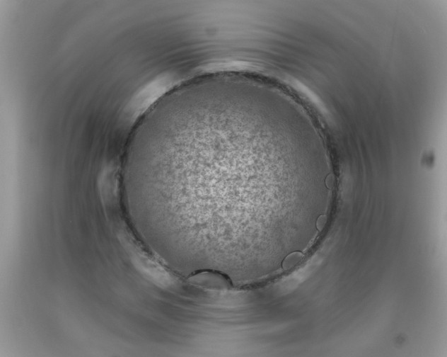 X0000092040921200709191057