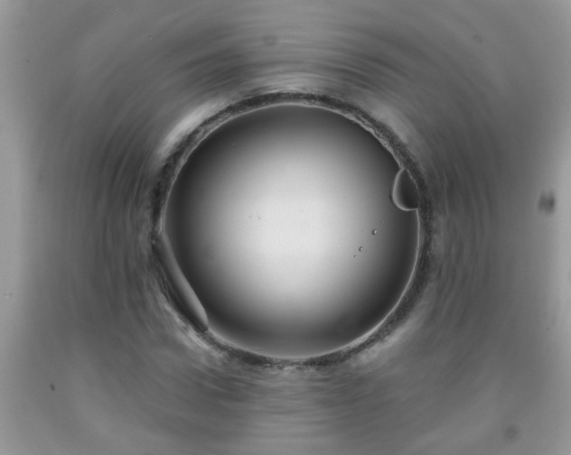 X0000092040922200709191057