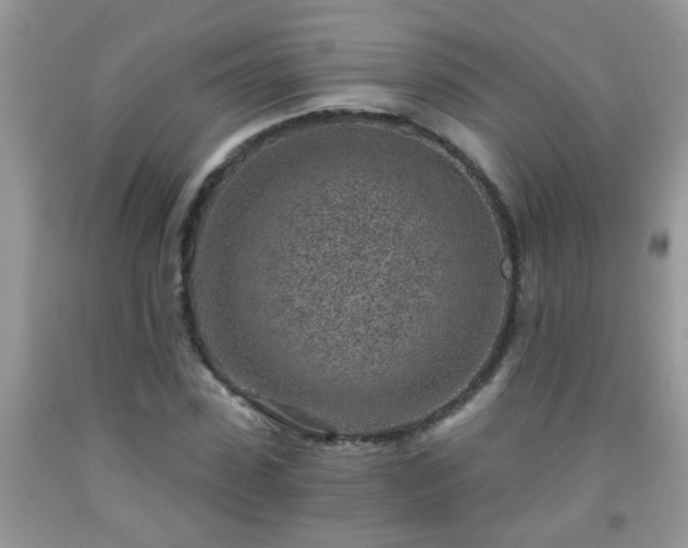 X0000092040923200709191057