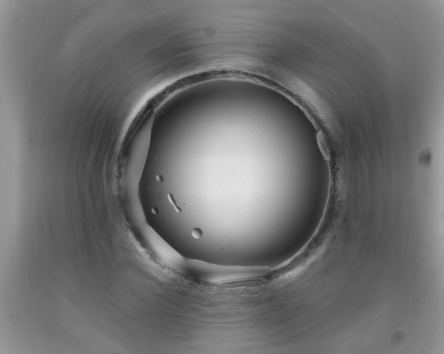 X0000092040924200709191057