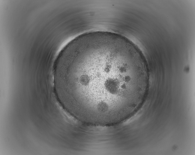 X0000092040925200709191057