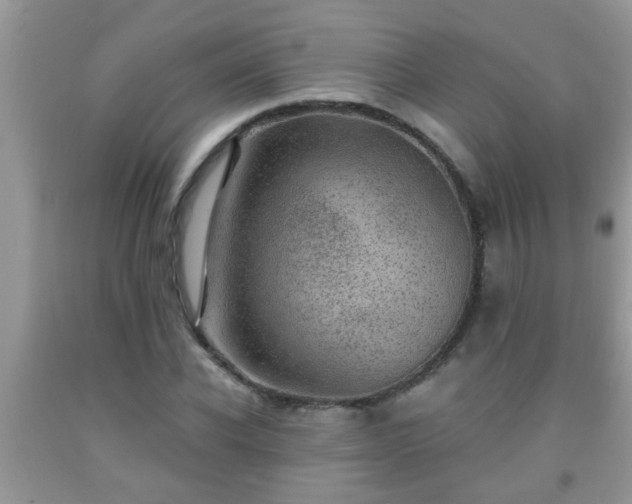 X0000092040926200709191057