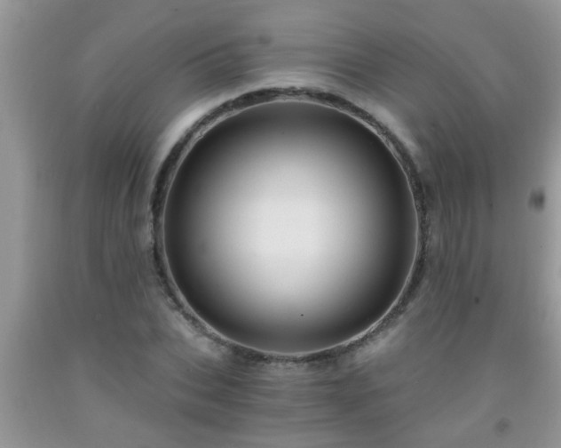 X0000092040927200709191057