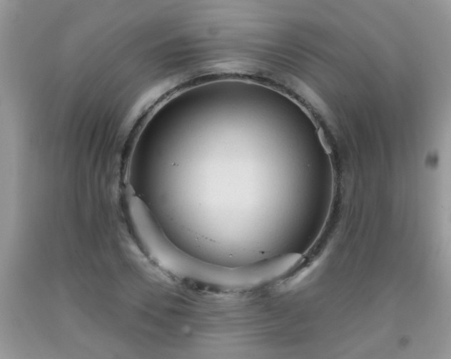 X0000092040930200709191057