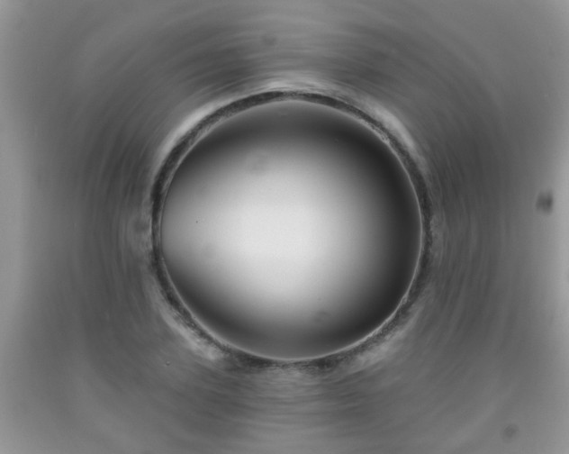 X0000092040931200709191057