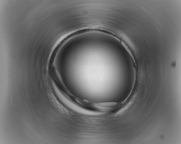 X0000092040932200709191057