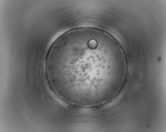 X0000092040933200709191057