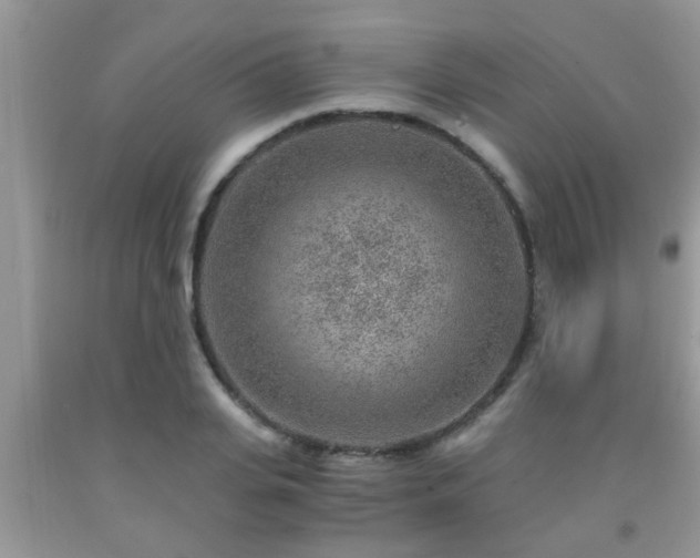 X0000092040935200709191057