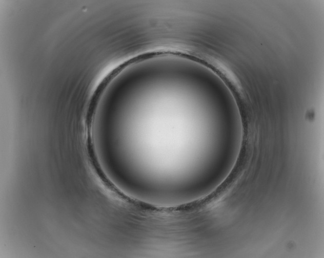 X0000092040936200709191057