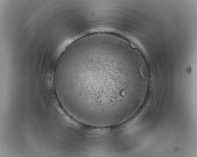 X0000092040937200709191057