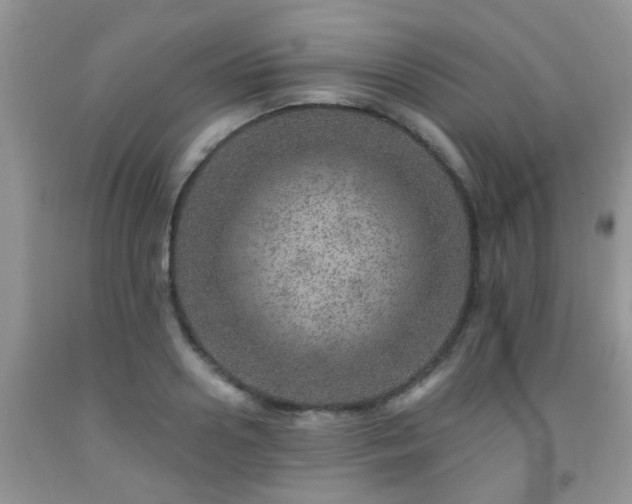 X0000092040938200709191057