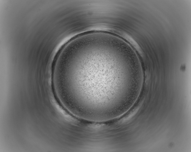 X0000092040939200709191057