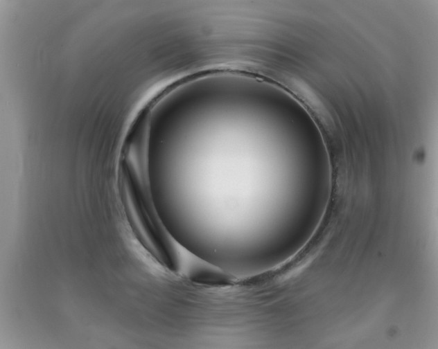 X0000092040940200709191057