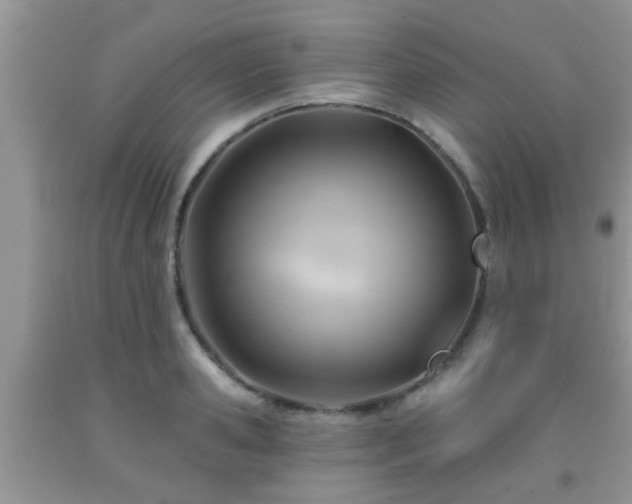 X0000092040941200709191057